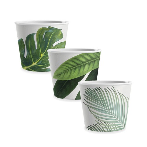 Eddingtons amazone floral - eddingtons,